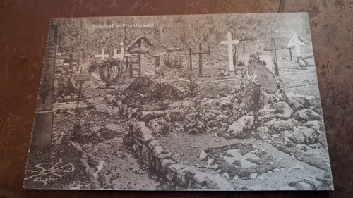 Friedhof im priesterwald - im,
